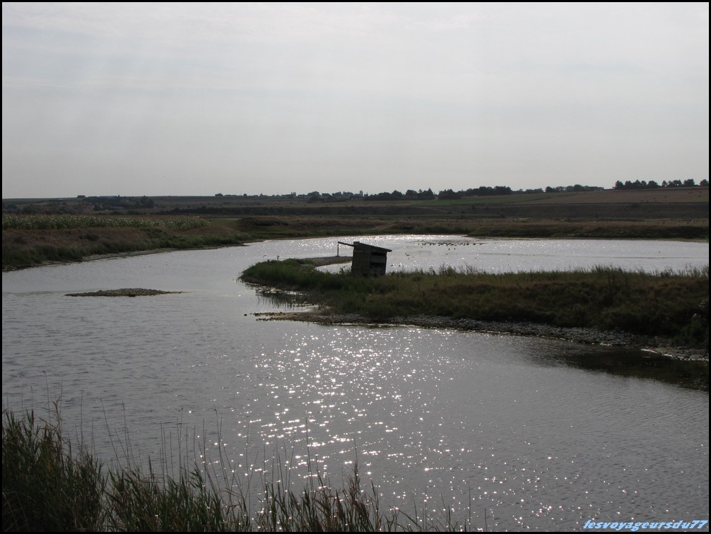 IMG_0384 [1000X750].JPG