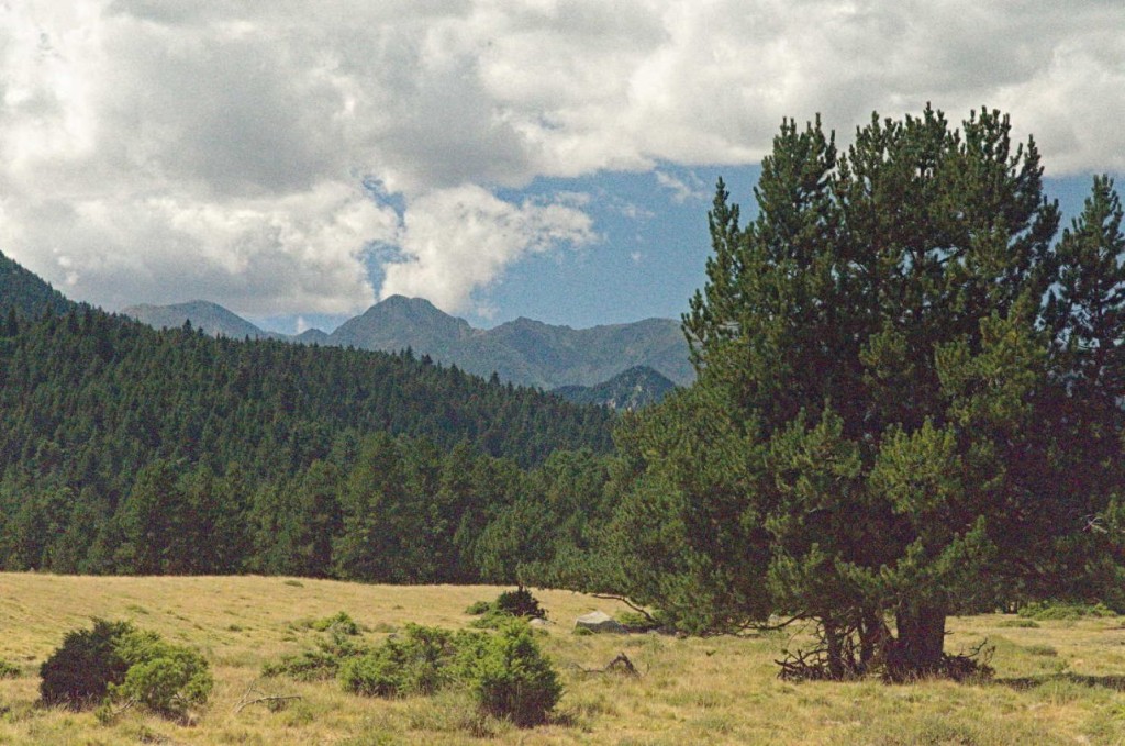 Pic Carlit 2921 m