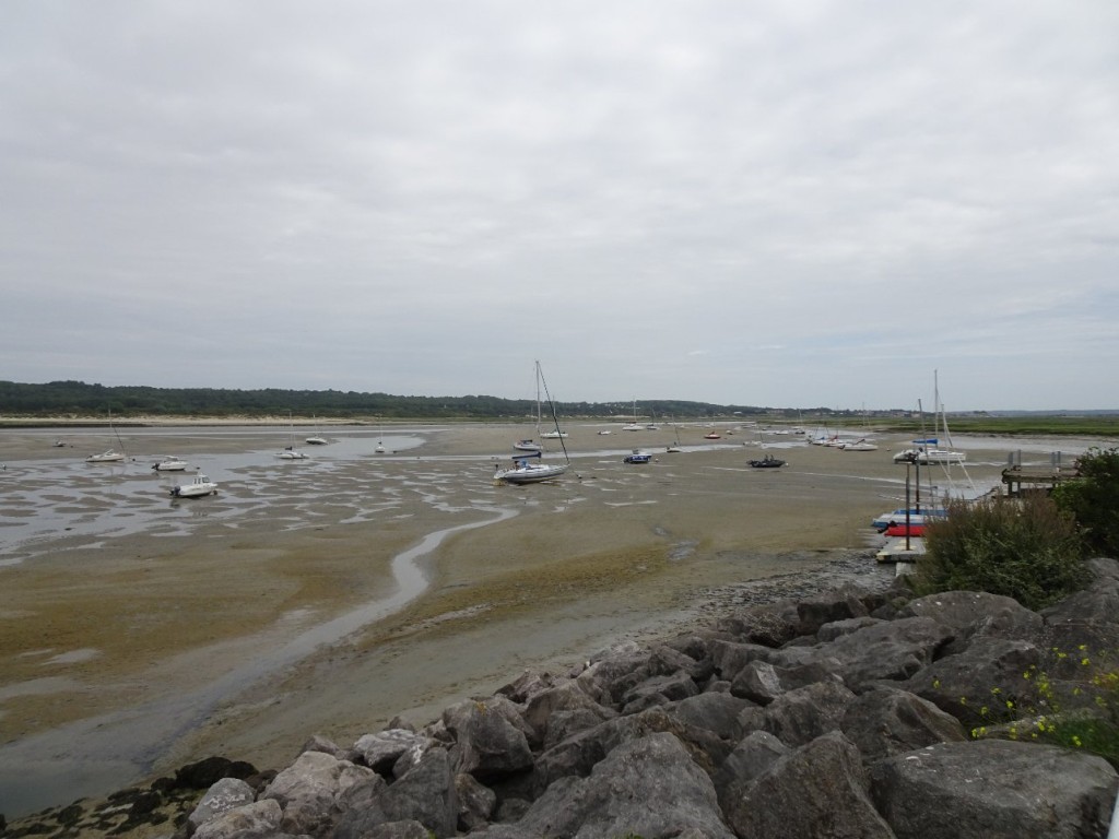 DSC05647.JPG