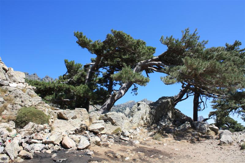 Ballade aux Aiguilles de Bavella