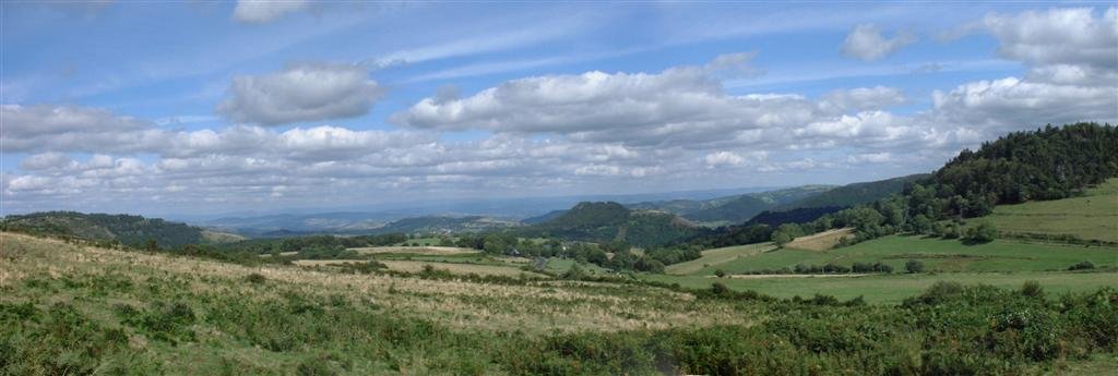 panorama (Large).jpg