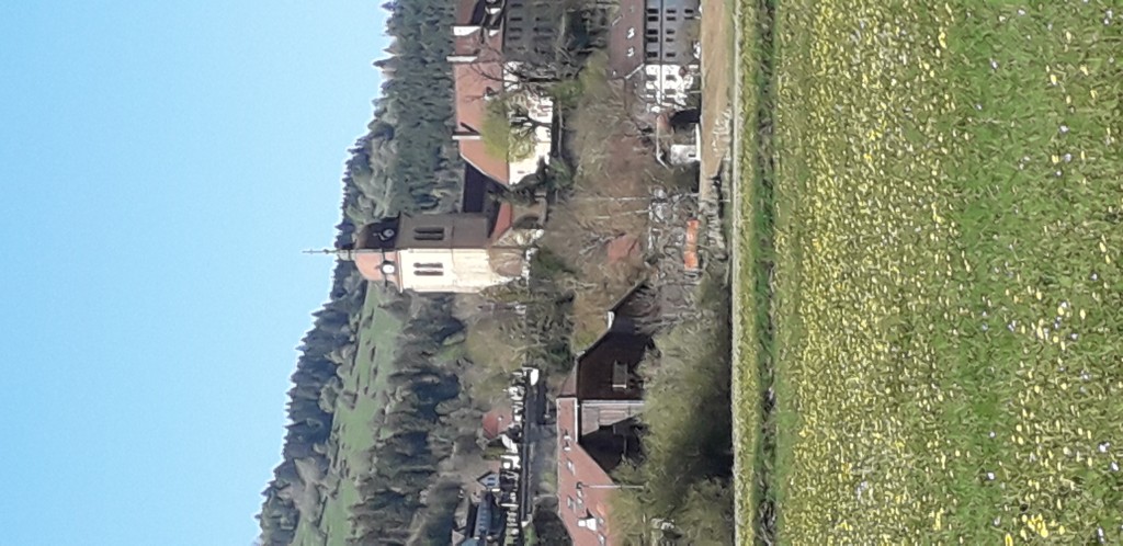 20260426_172306.jpg