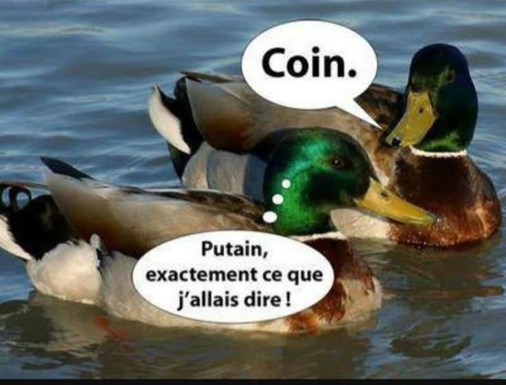 FB_IMG_1780504306660.jpg