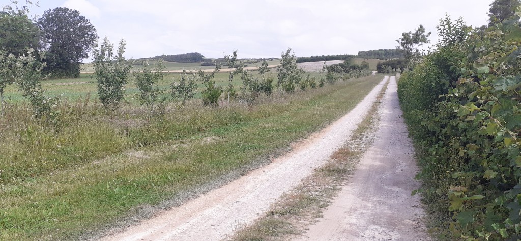 20260609_105503.jpg