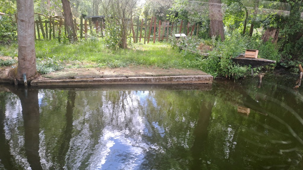 20260609_153352.jpg
