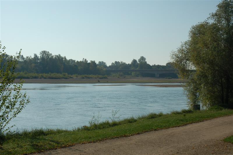 DSC_1023 (Medium).JPG