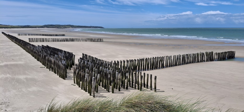 Les pieux brise-vagues pour protéger la dune d'aval