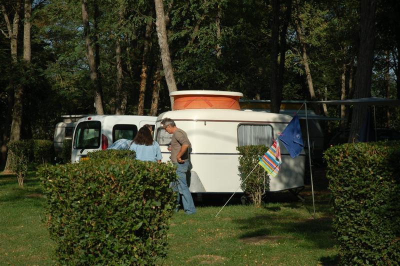 DSC_1032 (Medium).JPG