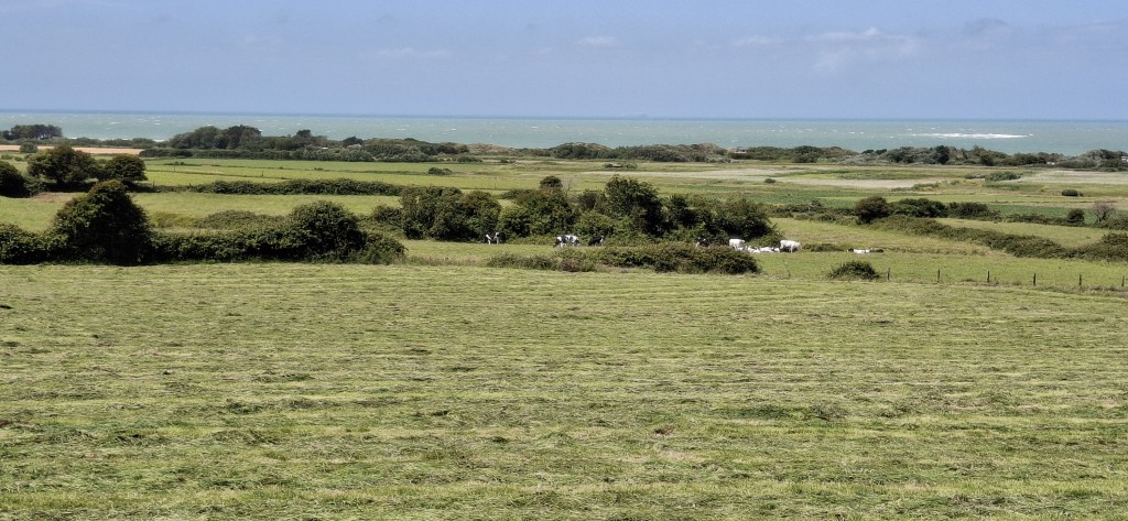 20260613_144347.jpg (3.47 Mio) Vu 32 fois Vue depuis l'église sur les marais et le sentier des Berniques, Tardinghen