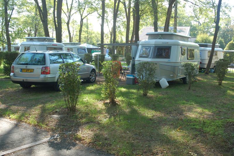 DSC_1038 (Medium).JPG