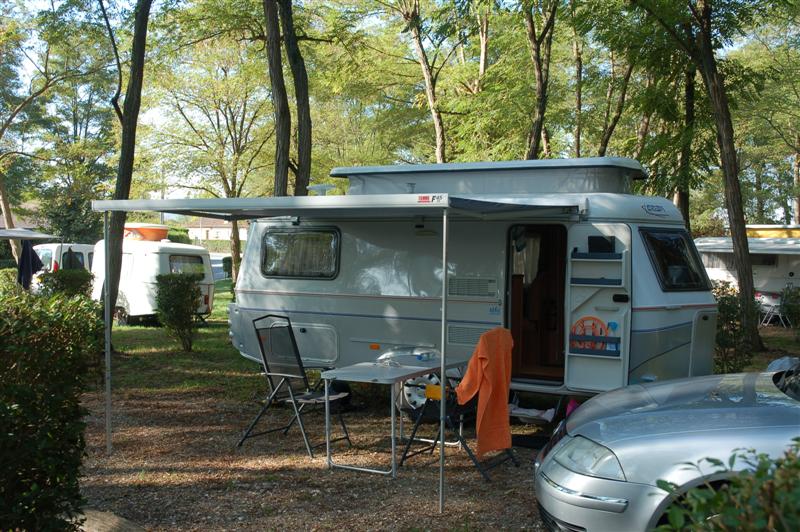 DSC_1039 (Medium).JPG