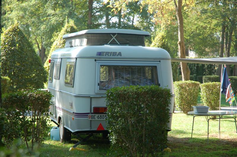 DSC_1040 (Medium).JPG