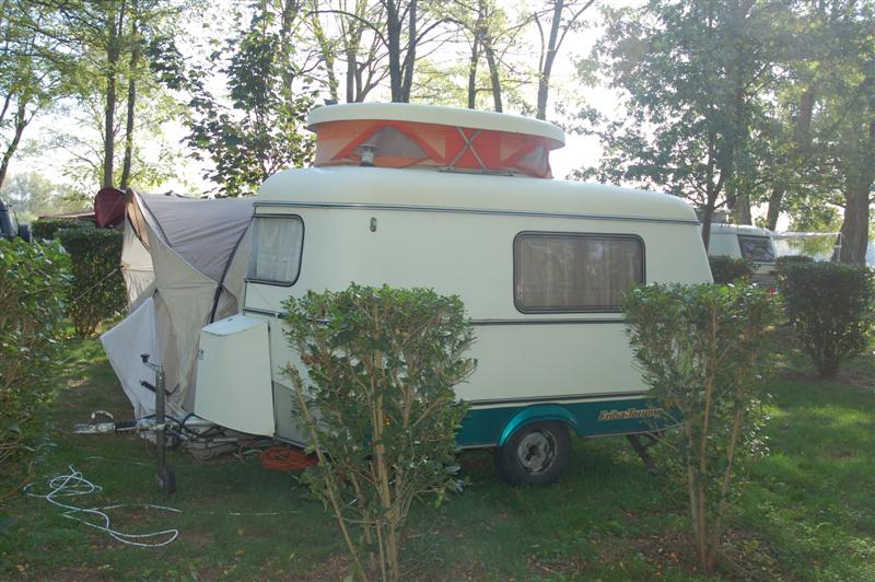 DSC_1043 (Medium).JPG