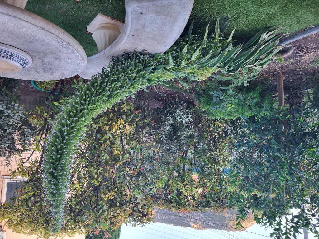 20260618_204640.jpg
