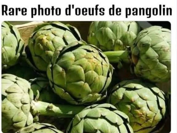 FB_IMG_1781967361832.jpg