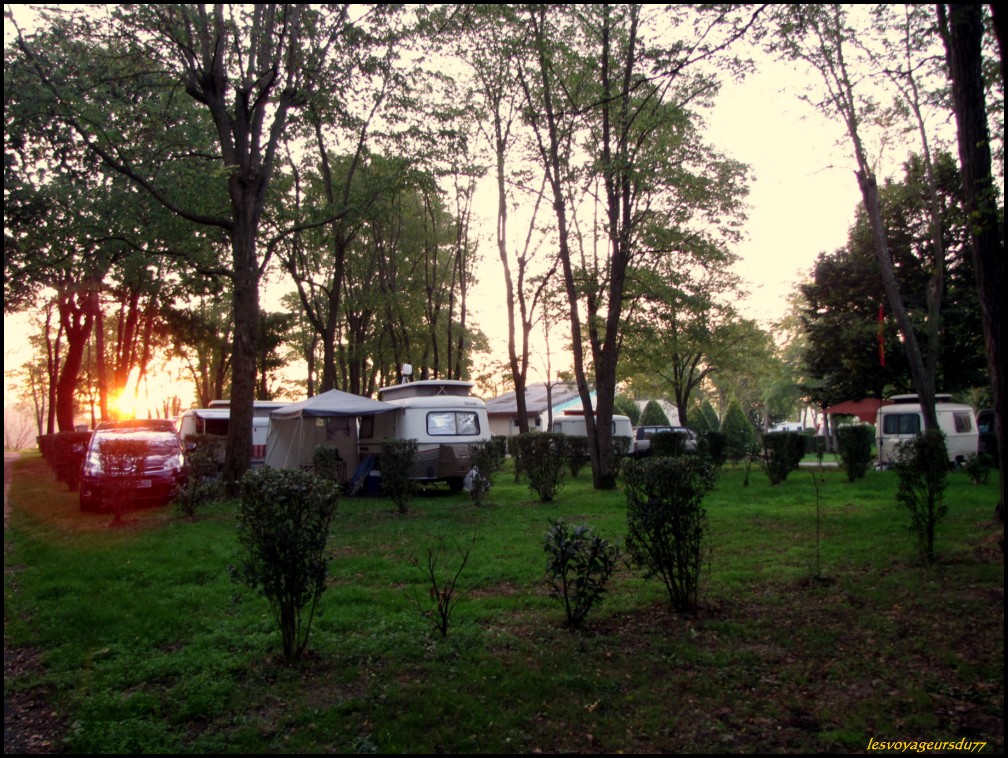 DDDDDDP [1000X750].JPG