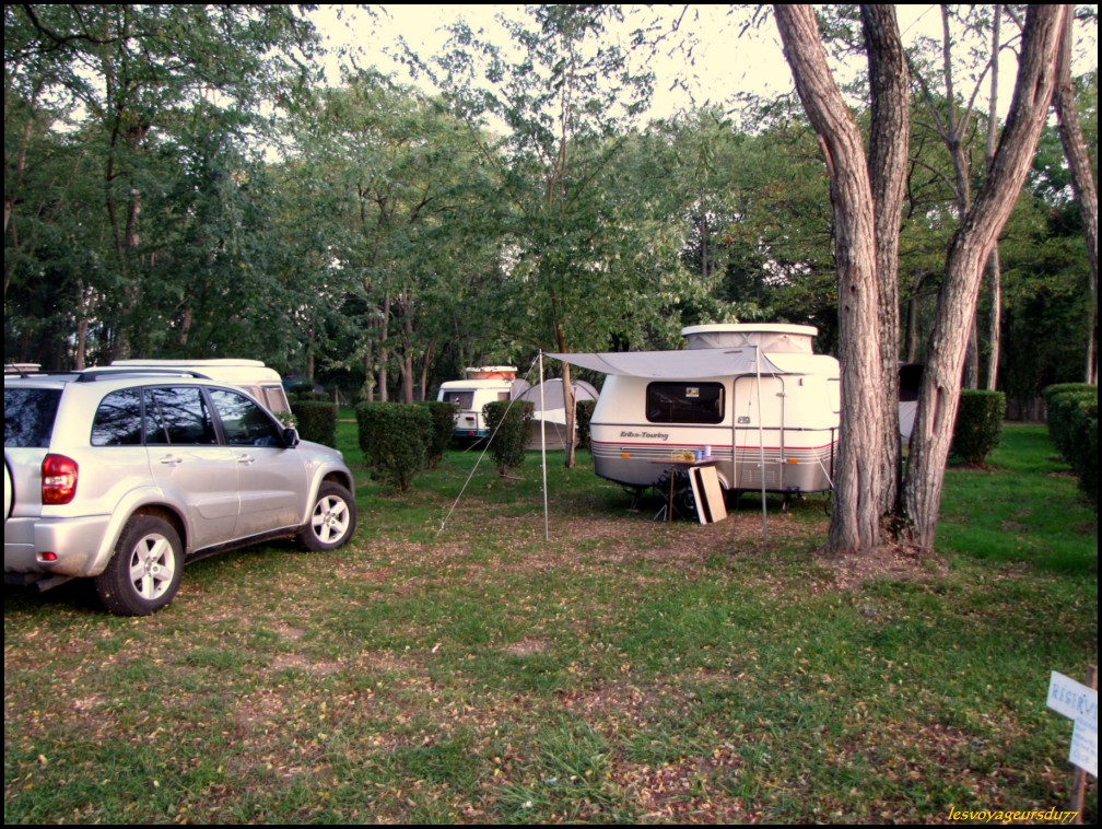 DFCDF [1000X750].JPG