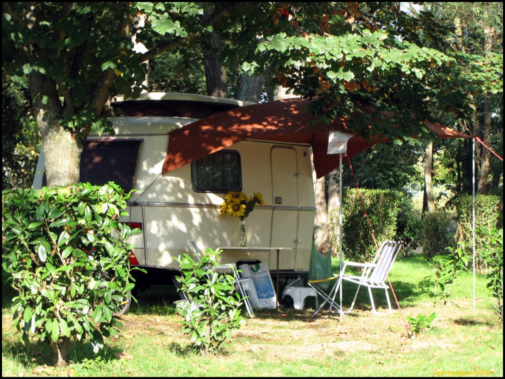 dfrttyu [1000X750].JPG