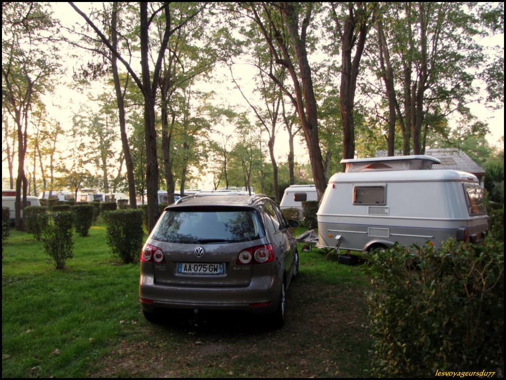 FFFFNJ [1000X750].JPG