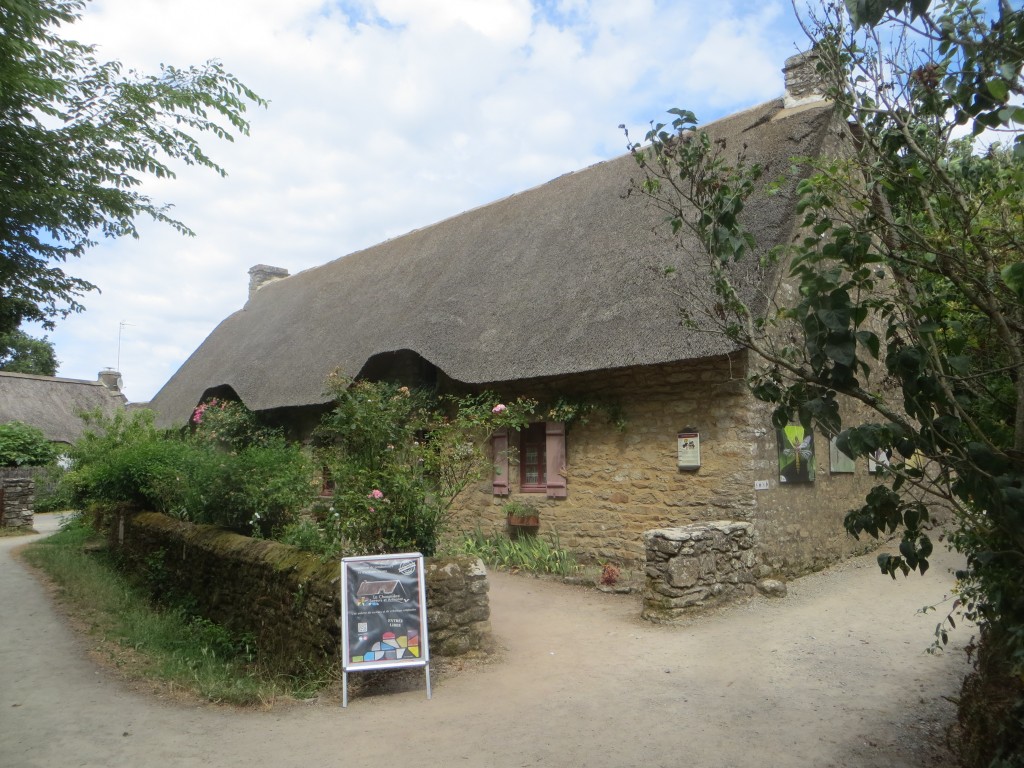 IMG_4406.JPG