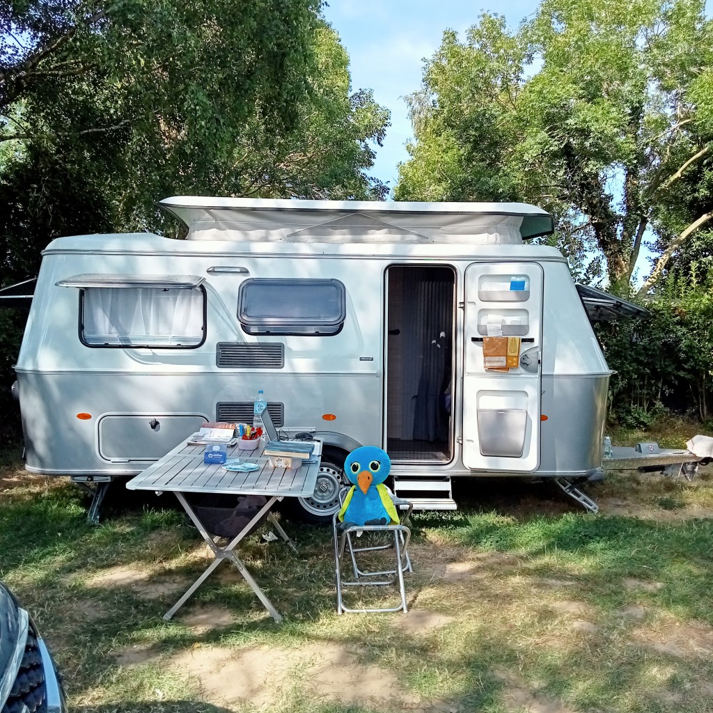 IMG20260802104501.jpg