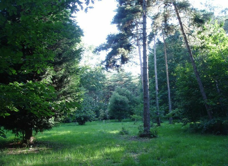 Tournay arboretum.jpg
