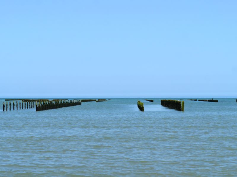 P1026336.JPG
