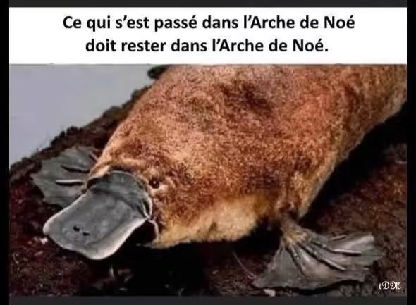 FB_IMG_1786380714092.jpg