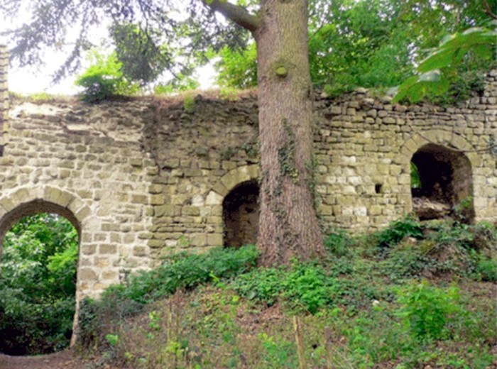 Le Chatelais vestiges.jpg