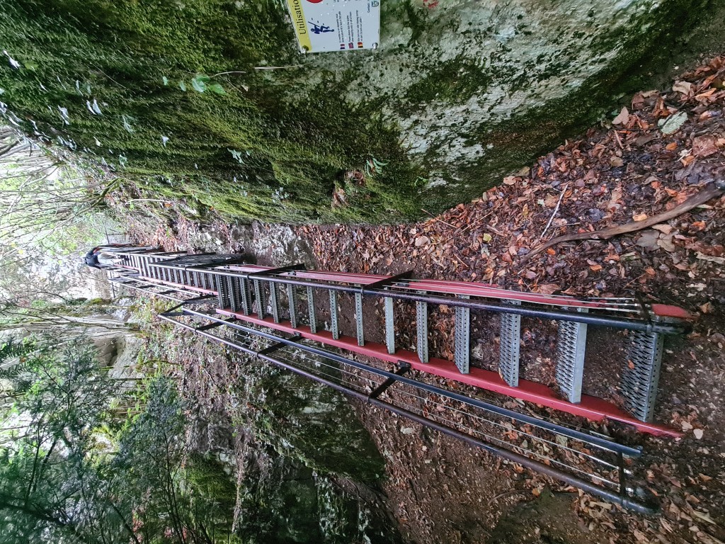 20260817_165452.jpg