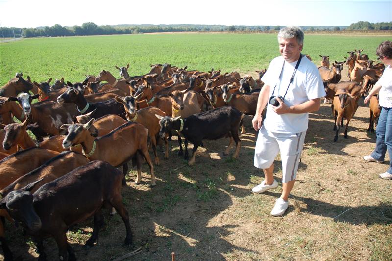 DSC_1065 (Medium).JPG