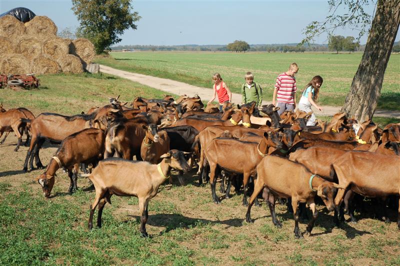 DSC_1077 (Medium).JPG