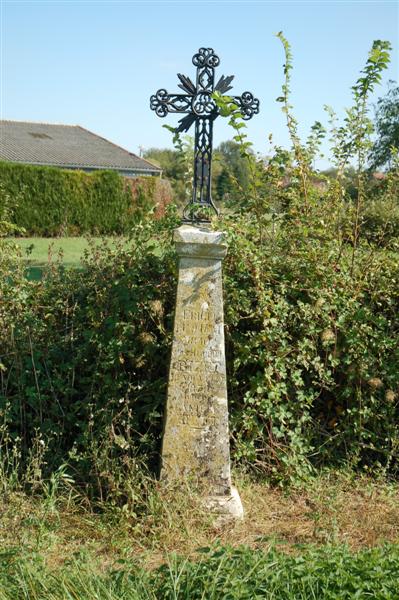 DSC_1078 (Medium).JPG