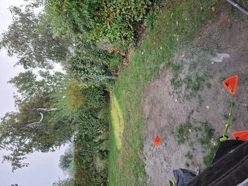20260831_093847.jpg