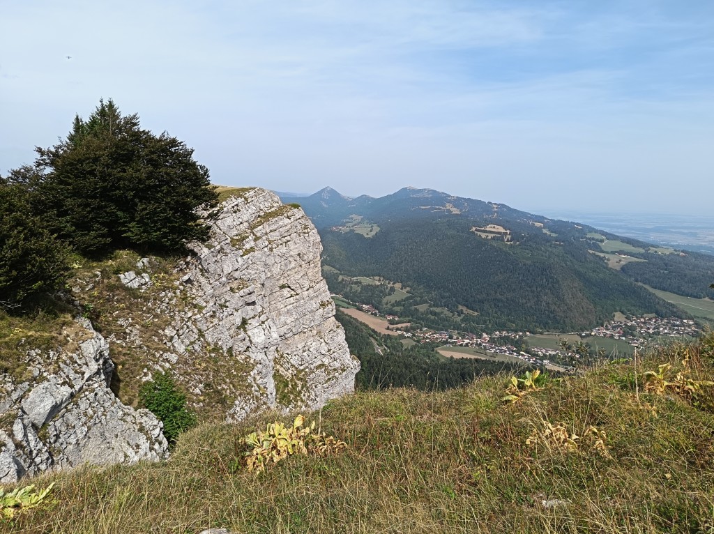 IMG_20260827_154318.jpg