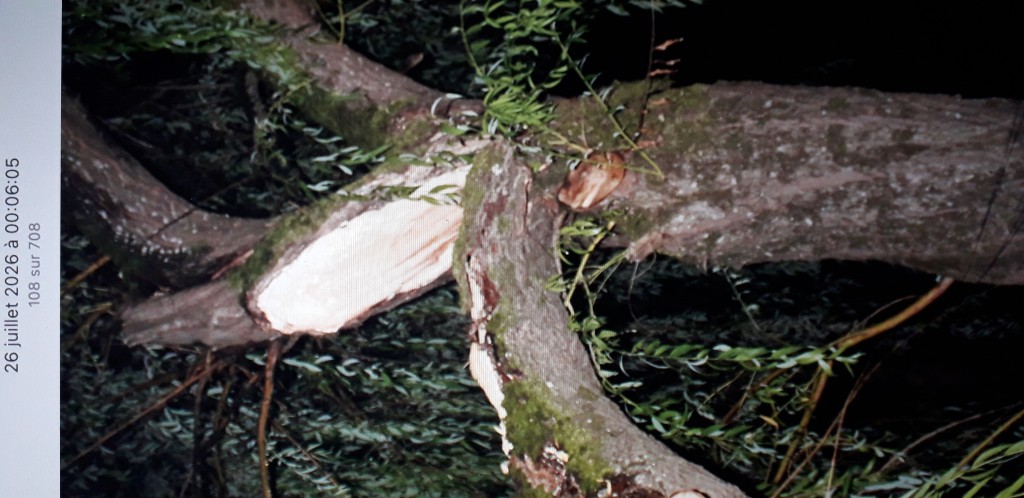 20260905_192000.jpg