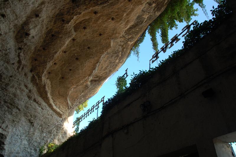 DSC_1124 (Medium).JPG