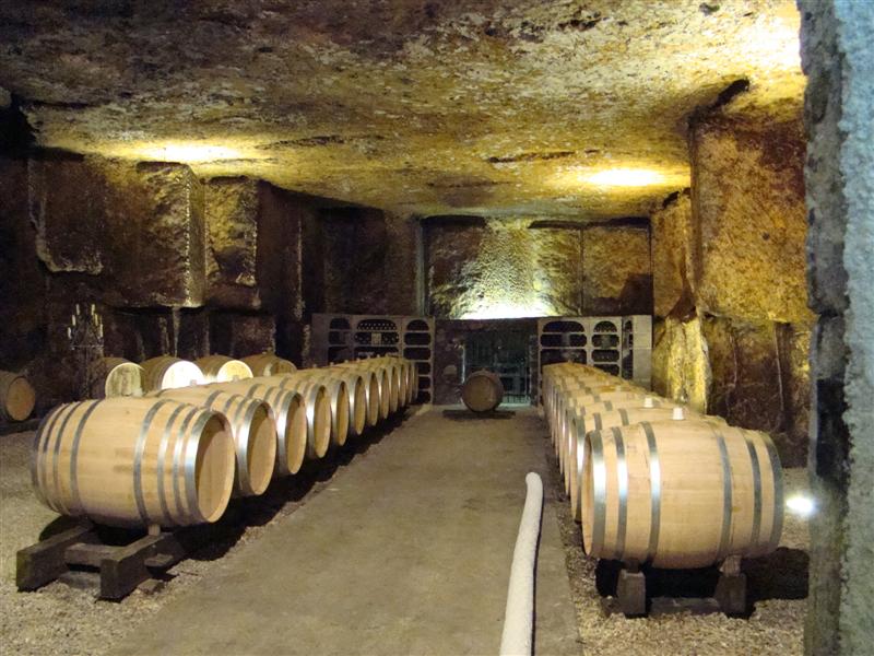 DSC06549 (Medium).JPG