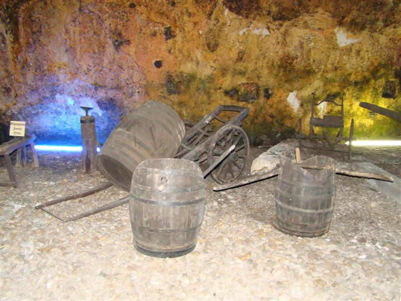 DSC06569 (Medium).JPG