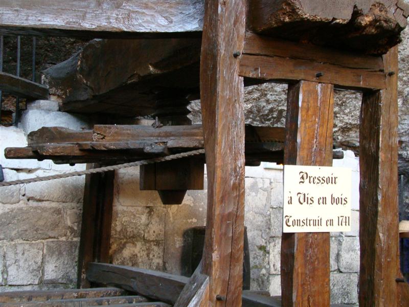 DSC06581 (Medium).JPG