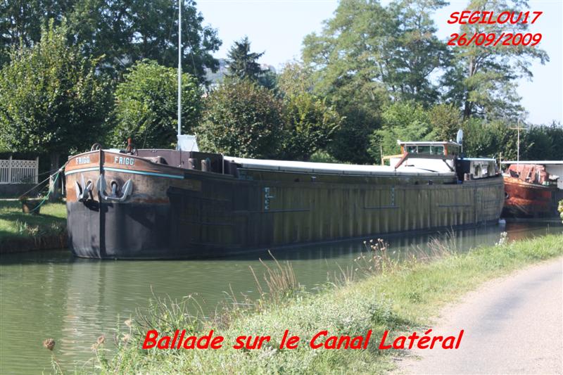 IMG_1683-1 (Medium).jpg