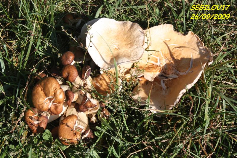 IMG_1685-1 (Medium).jpg