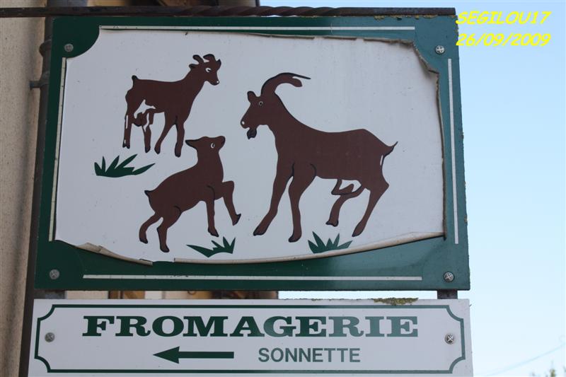 IMG_1690-1 (Medium).jpg