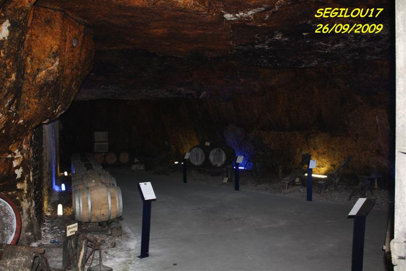 IMG_1701-1 (Medium).jpg