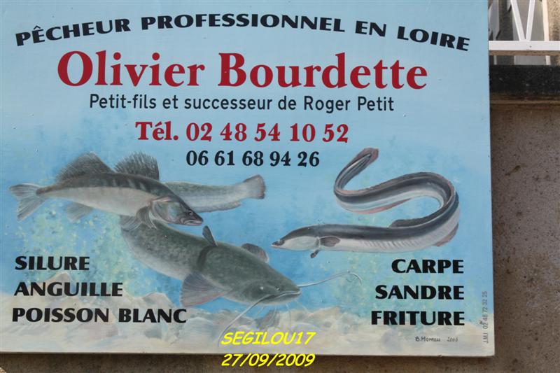 IMG_1716-1 (Medium).jpg