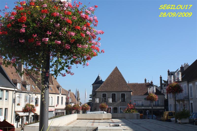 IMG_1725-1 (Medium).jpg