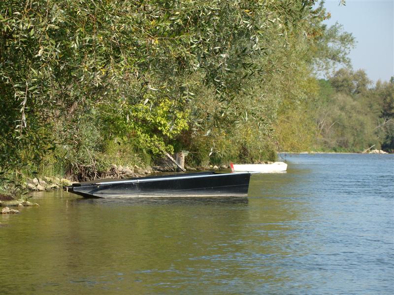 DSC06462 (Medium).JPG