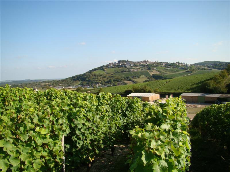 DSC06539 (Medium).JPG