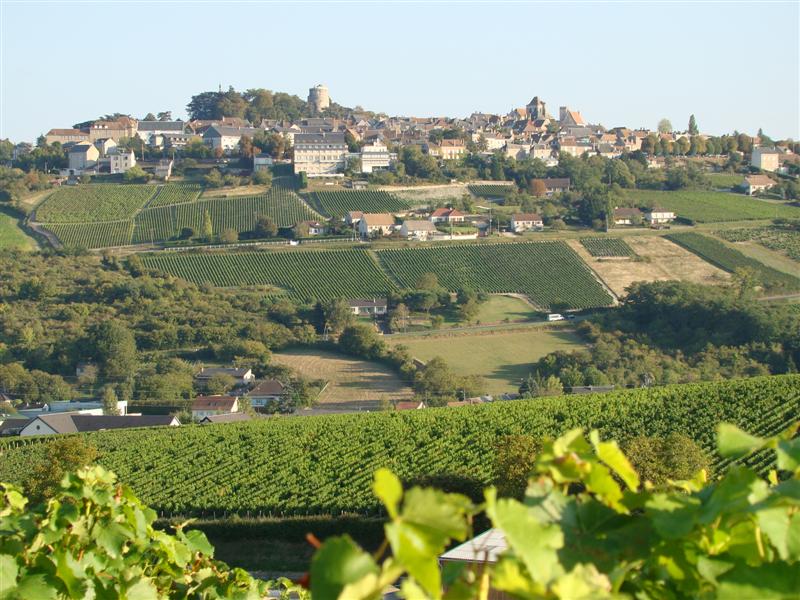 DSC06607 (Medium).JPG