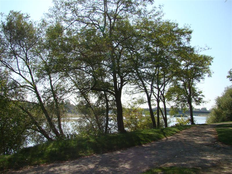 DSC06638 (Medium).JPG